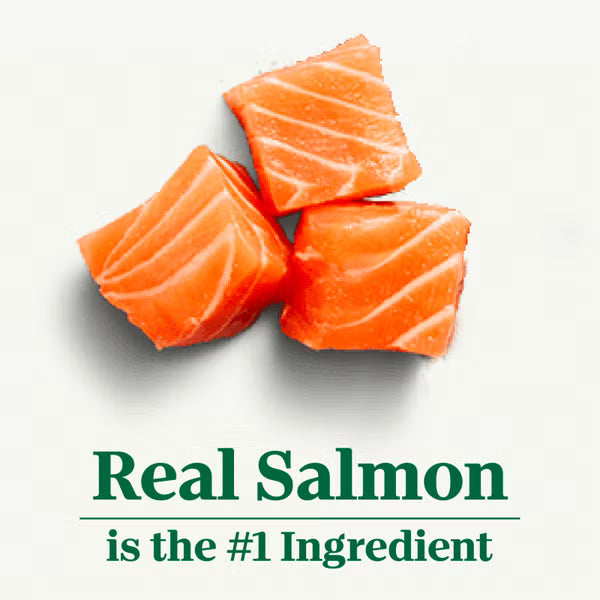 Nutro Wholesome Essential Salmon and Brown Rice Recipe 5lbs x (4) Packs