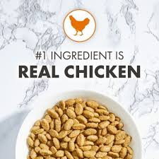 Nutro Wholesome Essentials Cat Food Chicken and Brown Rice Recipe 5lbs x (4) packs
